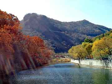 澳门精准正版免费大全14年新，什么胶水可以粘住铁